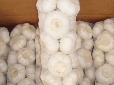 源头直供精选白皮大蒜 出口图3