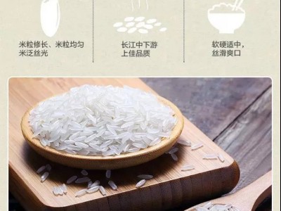 金龙鱼精选珍珠米5KG美滋滋长粒香米家用南方大米10斤装东北团购图4