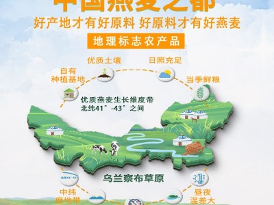 塞主粮大粒裸燕麦片桶装1000g图2