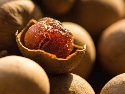 厂家直销批发 桂圆干500克袋装皮薄肉厚 龙眼干 新货干桂圆图4