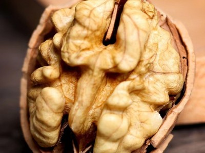 批发新疆阿克苏薄皮核桃纸皮新货原味代发185核桃手捏新疆特产图2