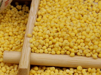 大黄米 农家自产源头工厂可定制 OEM贴牌 黏香精糯 现货供应500g图2