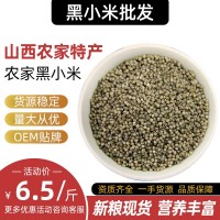 黑小米 农家自产源头工厂批发 支持代发 米油丰厚 现货供应500g