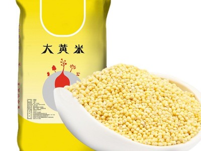 批发五谷杂粮大黄米黏米24.5kg商用大包装农家粗粮黄黏米窝窝头新图2