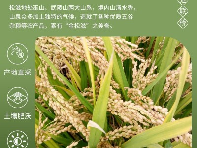 新糯米长粒香米湖北农家自种包粽子米五谷粗粮酿酒粘大米5斤装图3