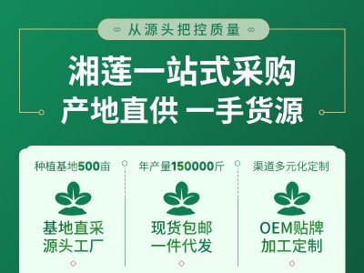 现货批发湘莲大号带芯红莲500g带芯莲子干货新鲜莲子支持一 件代发图4