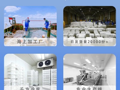 星仔岛海水大虾鲜活海鲜超大海捕对虾商用整箱厂家现货水产批发图3