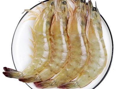 星仔岛海水大虾鲜活海鲜超大海捕对虾商用整箱厂家现货水产批发图5