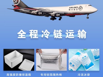 星仔岛海水大虾鲜活海鲜超大海捕对虾商用整箱厂家现货水产批发图4