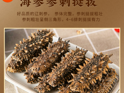 厂家批发大连纯淡干海参干货海鲜水产辽刺参散装家用礼盒装 可代发图4