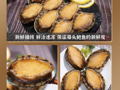 鲜冻深海鲍鱼批发鲍鱼商用鲍鱼肉商用带壳活冻鲍鱼可用捞汁鲍鱼图4