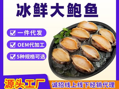 鲜冻深海鲍鱼批发鲍鱼商用鲍鱼肉商用带壳活冻鲍鱼可用捞汁鲍鱼图1