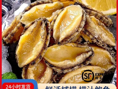 新鲜冷冻大鲍鱼肉500g海鲜水产鲜活去壳小鲍鱼捞汁佛跳墙食材商用图1