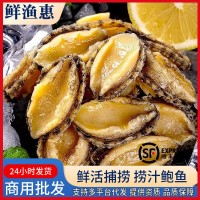 新鲜冷冻大鲍鱼肉500g海鲜水产鲜活去壳小鲍鱼捞汁佛跳墙食材商用