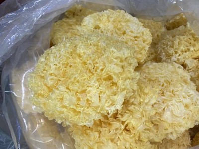 特产银耳干货精选袋装食用菌干货大朵银耳厂家直销图2