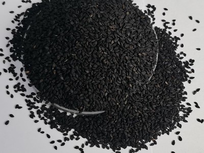 湖南厂家批发参芝林黑芝麻低温烘焙药材黑芝麻280g植物原药材批发图4