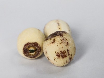 湖南参芝林袋装莲子批发去芯白莲子500g/包湘潭磨皮莲子支持代发图4