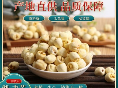 厂家直供500g超大号去皮去芯水泡莲子新鲜去壳白莲子干批发1 .25CM图5