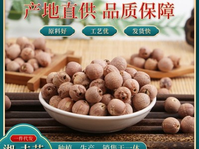 湘莲子去芯红莲 500g去芯湘莲批发 去芯红莲莲子干货图3