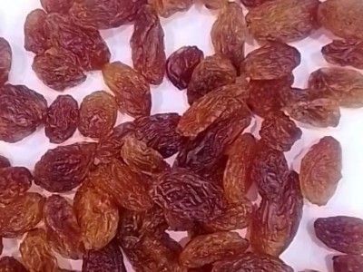 葡萄干1号中小颗粒红葡萄干红提葡萄干厂家直发图2