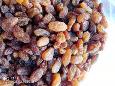 红提葡萄干，红干2号大颗粒，大颗粒葡萄干，葡萄干厂家批发图3