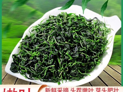 苦丁茶 苦丁茶批发 苦丁茶组合一件代发图2