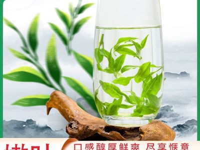 苦丁茶 苦丁茶批发 苦丁茶组合一件代发图4