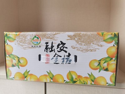 滑皮金桔水果生鲜金桔现采直发脆爽香甜质量保证皮薄图4