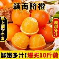 正宗江西赣南脐橙橙子10斤新鲜水果当季整箱赣州产地直发挤橙