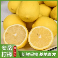 四川安岳柠檬产地直发黄柠檬皮薄多汁中大果整箱当季新鲜水果批发