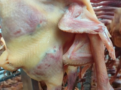 风干腌制2斤2两老母鸡亿家洪农家美食鸡肉咸香腊味农家鸡散养土鸡图1