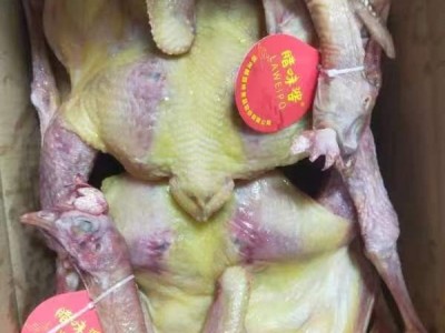 风干腌制2斤2两老母鸡亿家洪农家美食鸡肉咸香腊味农家鸡散养土鸡图4