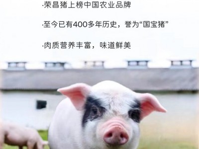 重庆荣昌土猪腊排骨香肠农家自制柴火烟熏腊肠腊酱肉正宗四川特产图3
