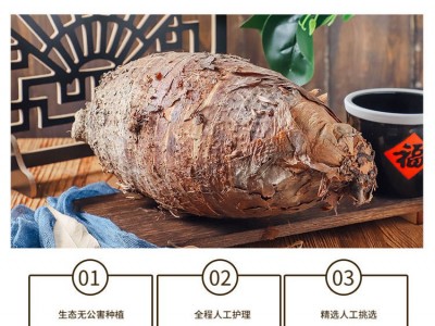 正宗广西荔浦芋头特大槟榔芋香芋毛芋批发 种植基地新鲜采挖直发图2
