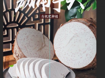 正宗广西荔浦芋头特大槟榔芋香芋毛芋批发 种植基地新鲜采挖直发图1