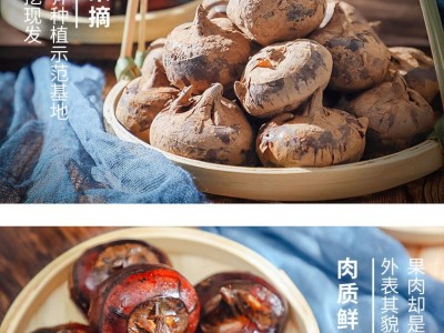 马蹄新鲜现挖种植基地直接批发广西荔浦马蹄荸荠农家自种图2