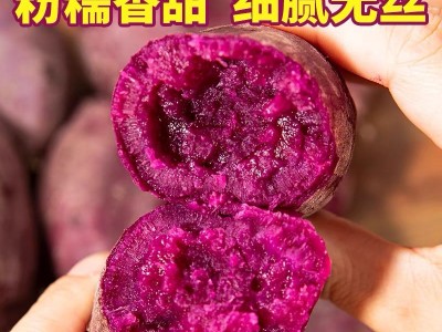 紫薯新鲜批发产地直发红薯番薯地瓜蜜薯山芋香薯代发蔬菜粗粮图2