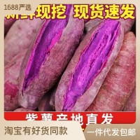 紫薯新鲜批发产地直发红薯番薯地瓜蜜薯山芋香薯代发蔬菜粗粮