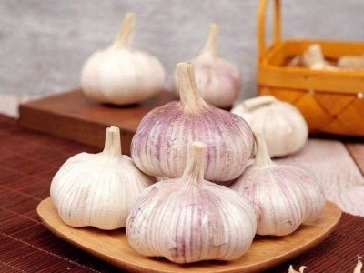 蒜低价山东紫皮大蒜头批发整箱新干1斤5斤10斤新鲜干蒜头厂家直销图2