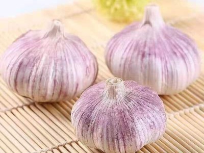 蒜低价山东紫皮大蒜头批发整箱新干1斤5斤10斤新鲜干蒜头厂家直销图3