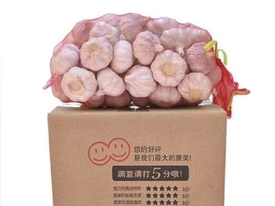 蒜低价山东紫皮大蒜头批发整箱新干1斤5斤10斤新鲜干蒜头厂家直销图5