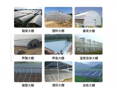 连体温室大棚农业花卉种植阳光智能温室养殖镀锌钢管大棚骨 架加工图5