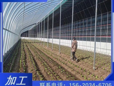 厂家直销日光暖棚温室大棚骨架农作物种植暖棚插地棚镀锌管批发图1