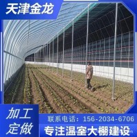 厂家直销日光暖棚温室大棚骨架农作物种植暖棚插地棚镀锌管批发