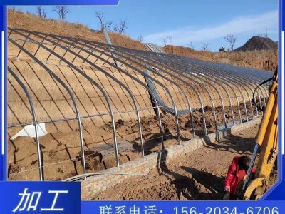 厂家直销日光暖棚温室大棚骨架农作物种植暖棚插地棚镀锌管批发图3
