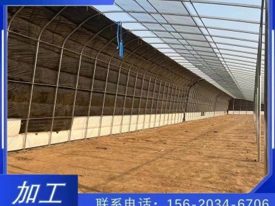 厂家直销日光暖棚温室大棚骨架农作物种植暖棚插地棚镀锌管批发图4