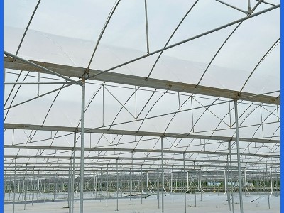 蓝莓连栋温室大棚 农业种植育苗大棚 包工包料大棚建造厂家供应图4