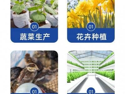 镀锌圆管大棚钢管热镀锌管3寸管薄壁Q235钢管种植棚 养殖棚批发图4