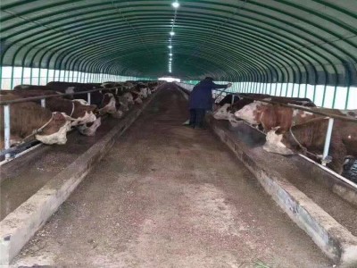 天津厂家直供养猪大棚 养鸡大棚 养羊大棚 养牛大棚 养鸭大棚建设图4