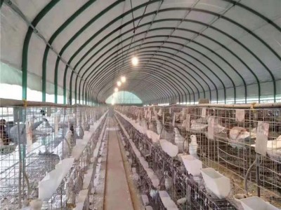 天津厂家直供 水产养殖大棚 菌菇养殖大棚 养兔子大棚 养鸽子大棚图3